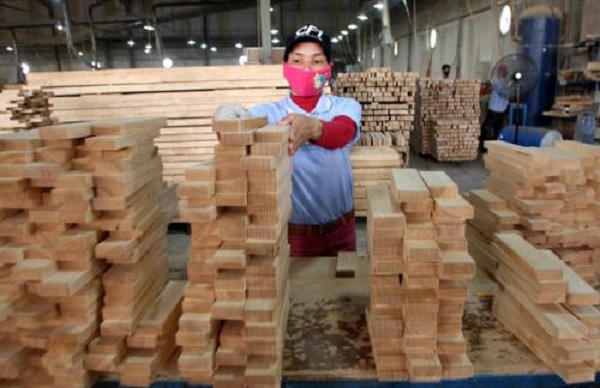 Xuất khẩu gỗ gặp khó vì tỉ giá
