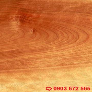 Gỗ Phong Vàng (Gỗ Birch)